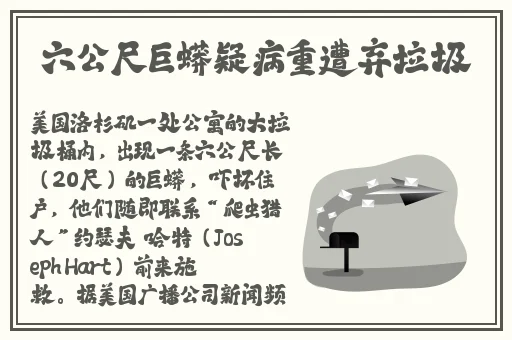 黄页88网站推广方案